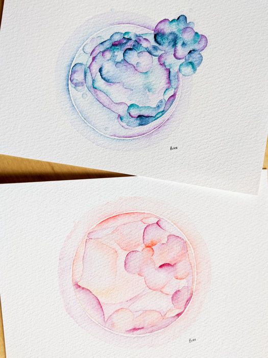 Watercolor Embryos