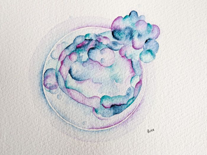 Watercolor Embryos