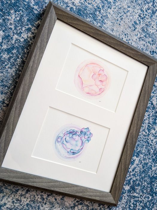 Watercolor Embryos